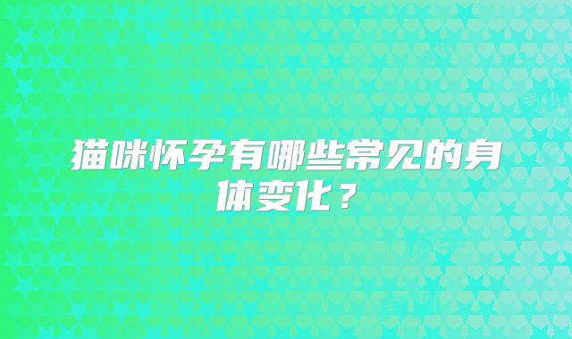猫咪怀孕有哪些常见的身体变化？