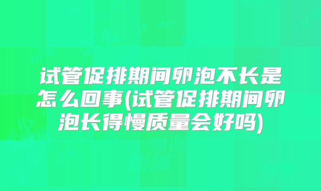 试管促排期间卵泡不长是怎么回事(试管促排期间卵泡长得慢质量会好吗)