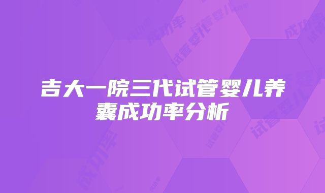 吉大一院三代试管婴儿养囊成功率分析