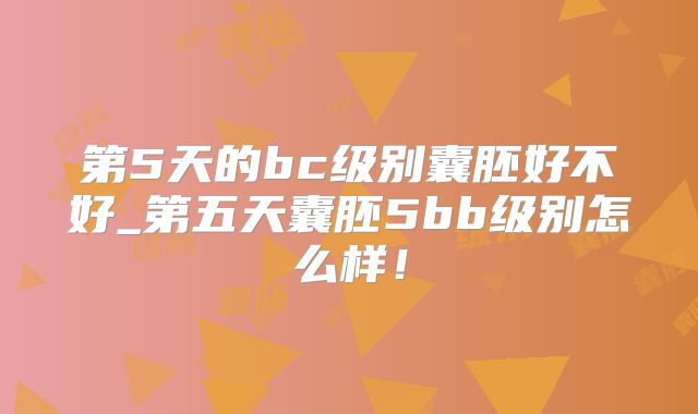 第5天的bc级别囊胚好不好_第五天囊胚5bb级别怎么样！