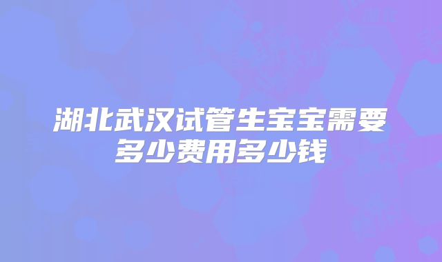 湖北武汉试管生宝宝需要多少费用多少钱