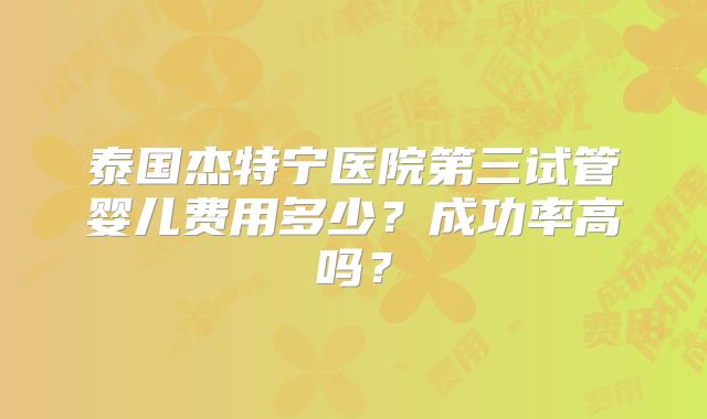 泰国杰特宁医院第三试管婴儿费用多少？成功率高吗？