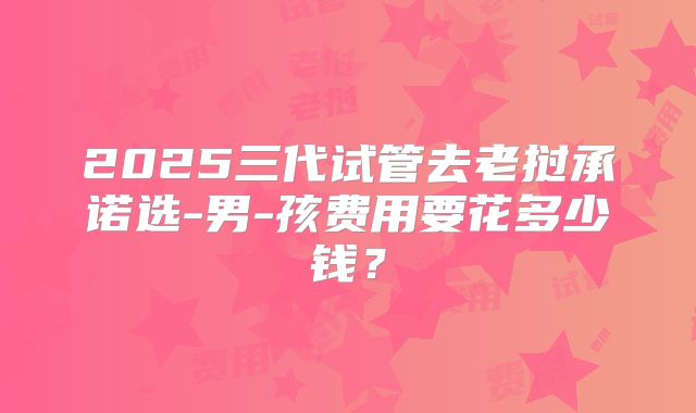 2025三代试管去老挝承诺选-男-孩费用要花多少钱?