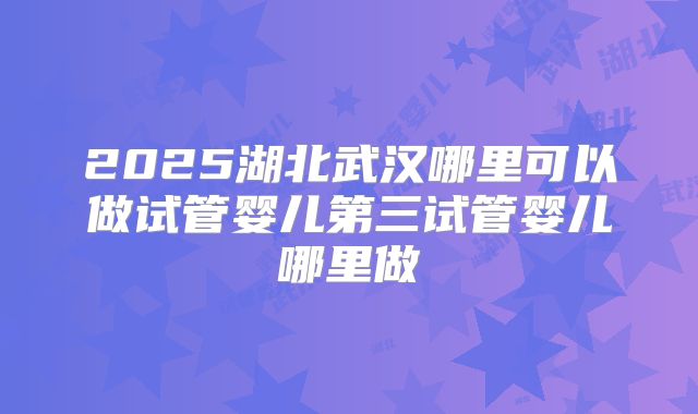 2025湖北武汉哪里可以做试管婴儿第三试管婴儿哪里做