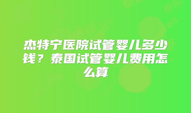 杰特宁医院试管婴儿多少钱?泰国试管婴儿费用怎么算