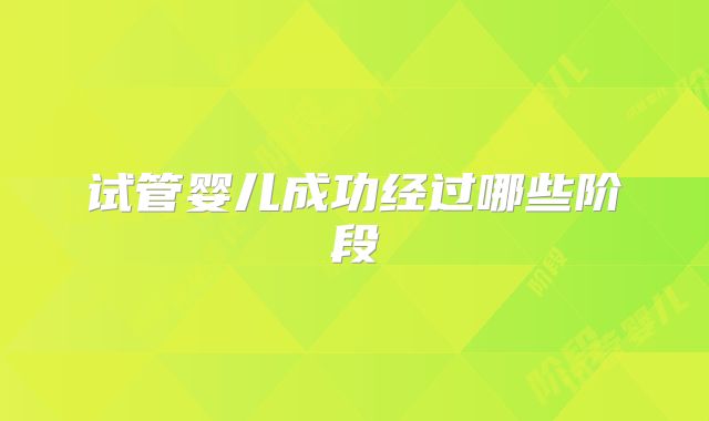 试管婴儿成功经过哪些阶段