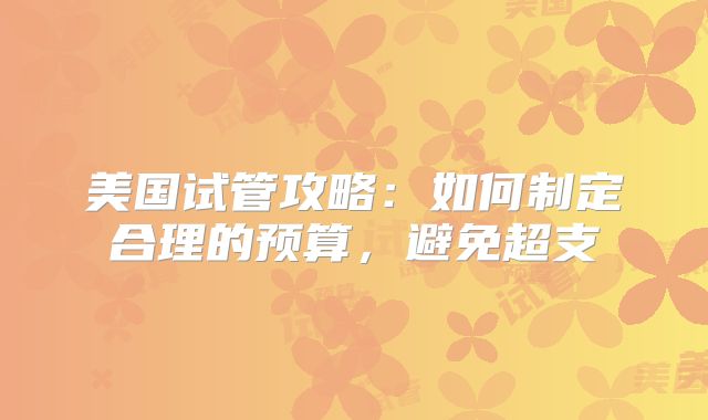 美国试管攻略：如何制定合理的预算，避免超支