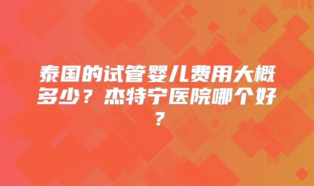 泰国的试管婴儿费用大概多少？杰特宁医院哪个好？