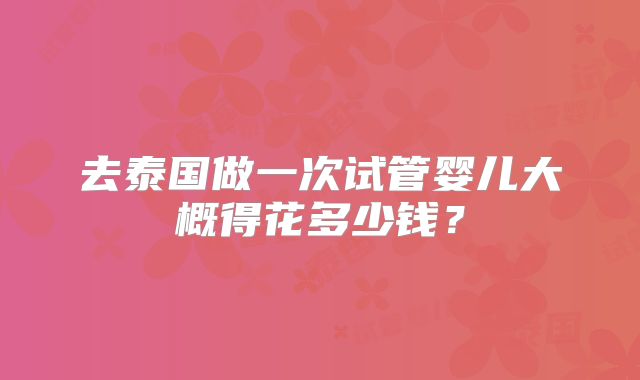 去泰国做一次试管婴儿大概得花多少钱?