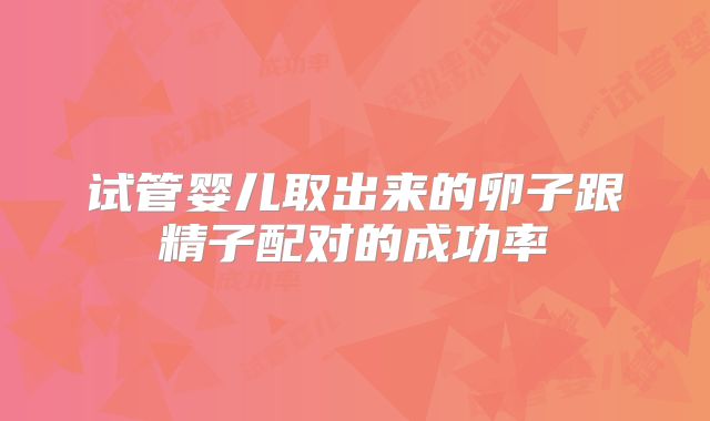 试管婴儿取出来的卵子跟精子配对的成功率