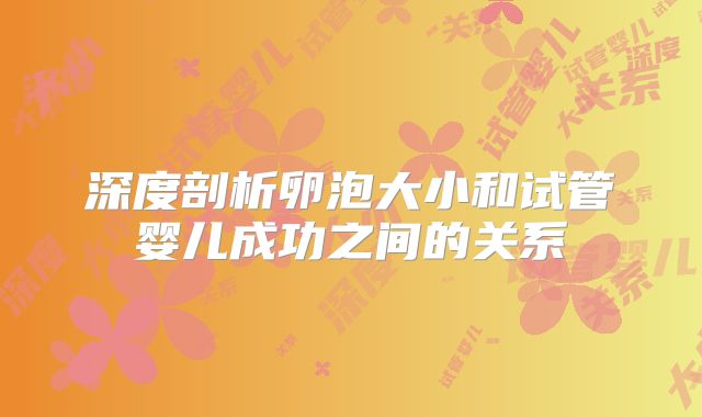 深度剖析卵泡大小和试管婴儿成功之间的关系