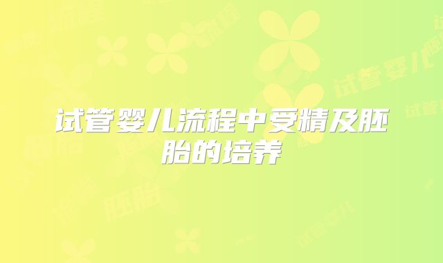 试管婴儿流程中受精及胚胎的培养