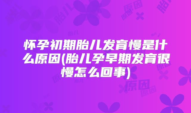 怀孕初期胎儿发育慢是什么原因(胎儿孕早期发育很慢怎么回事)