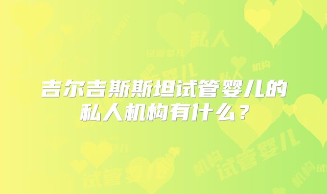 吉尔吉斯斯坦试管婴儿的私人机构有什么？