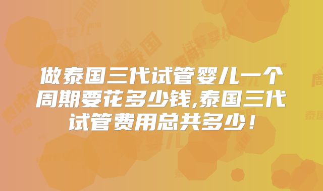 做泰国三代试管婴儿一个周期要花多少钱,泰国三代试管费用总共多少!