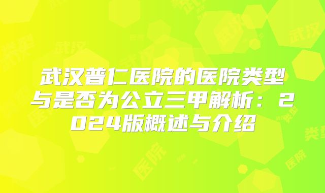 武汉普仁医院的医院类型与是否为公立三甲解析：2024版概述与介绍