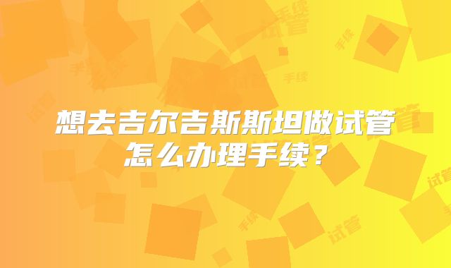 想去吉尔吉斯斯坦做试管怎么办理手续？