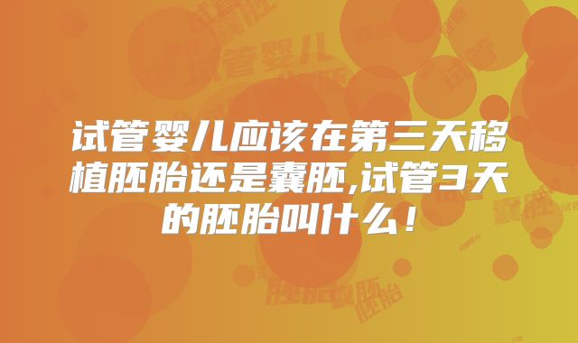 试管婴儿应该在第三天移植胚胎还是囊胚,试管3天的胚胎叫什么！