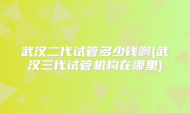 武汉二代试管多少钱啊(武汉三代试管机构在哪里)