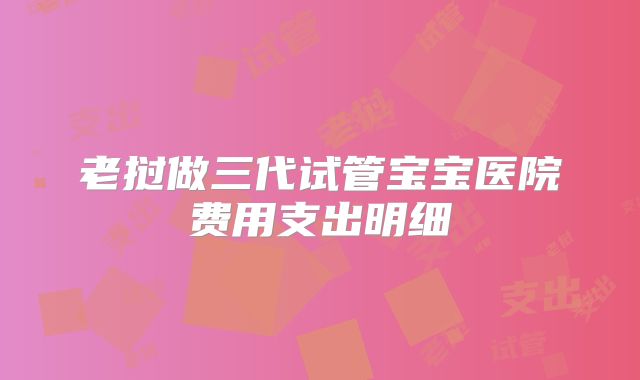 老挝做三代试管宝宝医院费用支出明细