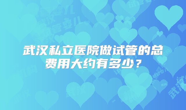 武汉私立医院做试管的总费用大约有多少?