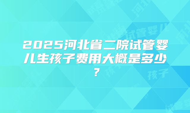 2025河北省二院试管婴儿生孩子费用大概是多少？