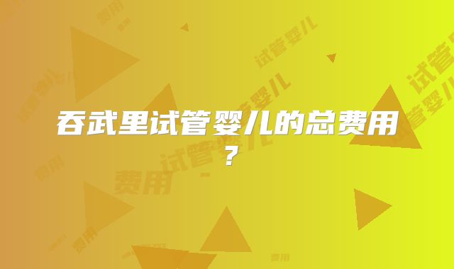 吞武里试管婴儿的总费用?