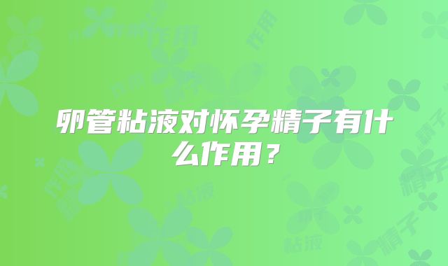 卵管粘液对怀孕精子有什么作用?