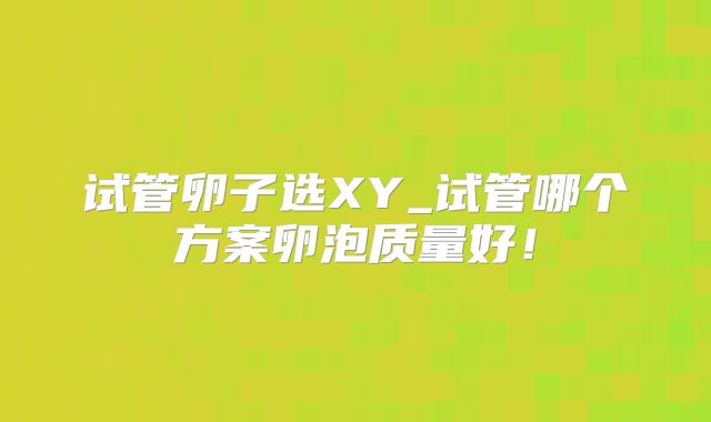 试管卵子选XY_试管哪个方案卵泡质量好！