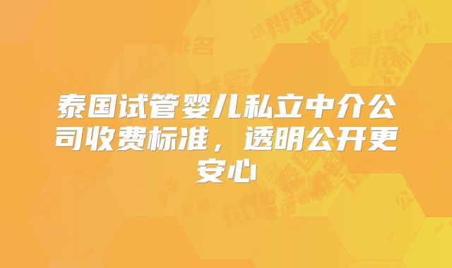 泰国试管婴儿私立中介公司收费标准，透明公开更安心