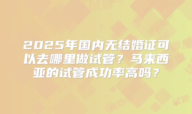 2025年国内无结婚证可以去哪里做试管?马来西亚的试管成功率高吗?