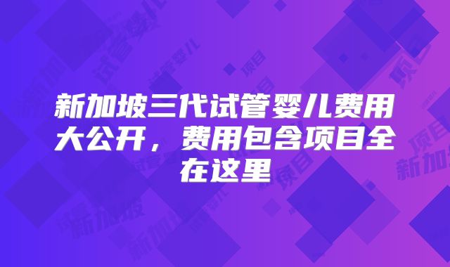 新加坡三代试管婴儿费用大公开，费用包含项目全在这里