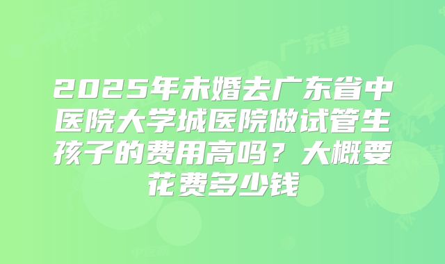 2025年未婚去广东省中医院大学城医院做试管生孩子的费用高吗？大概要花费多少钱