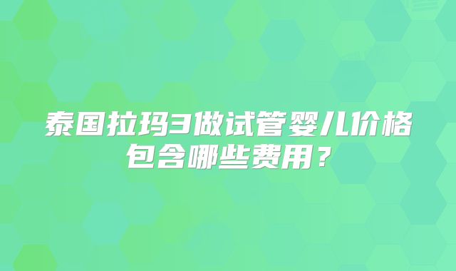 泰国拉玛3做试管婴儿价格包含哪些费用？