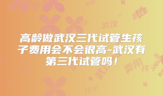 高龄做武汉三代试管生孩子费用会不会很高-武汉有第三代试管吗！