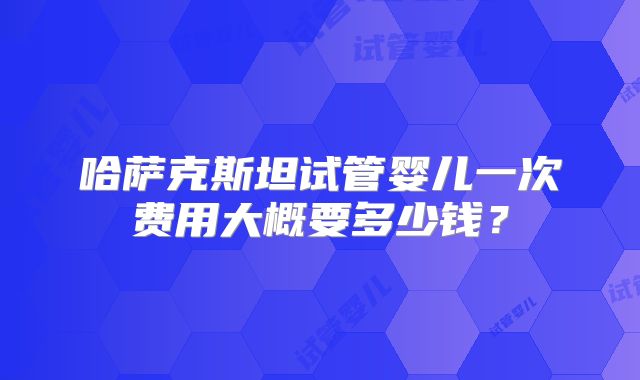哈萨克斯坦试管婴儿一次费用大概要多少钱?