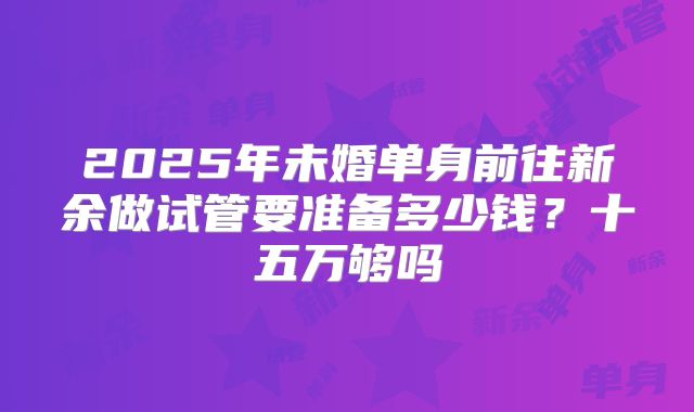 2025年未婚单身前往新余做试管要准备多少钱?十五万够吗