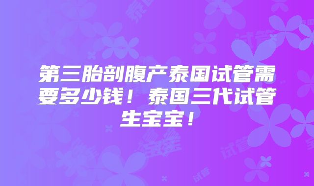 第三胎剖腹产泰国试管需要多少钱!泰国三代试管生宝宝!