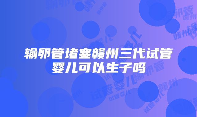 输卵管堵塞赣州三代试管婴儿可以生子吗