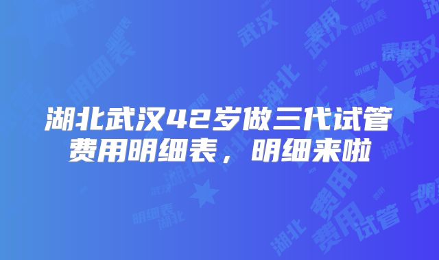 湖北武汉42岁做三代试管费用明细表，明细来啦
