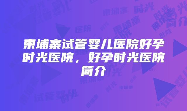柬埔寨试管婴儿医院好孕时光医院,好孕时光医院简介