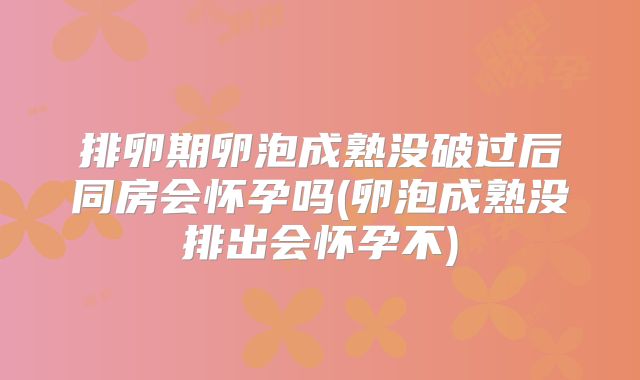 排卵期卵泡成熟没破过后同房会怀孕吗(卵泡成熟没排出会怀孕不)