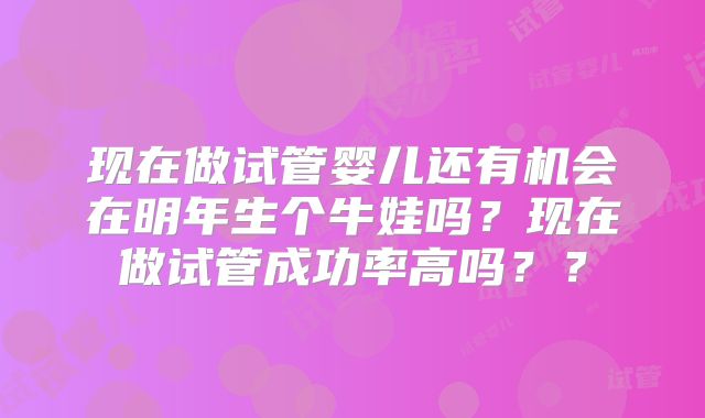 现在做试管婴儿还有机会在明年生个牛娃吗？现在做试管成功率高吗？？