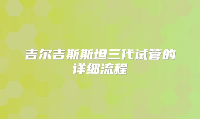 吉尔吉斯斯坦三代试管的详细流程