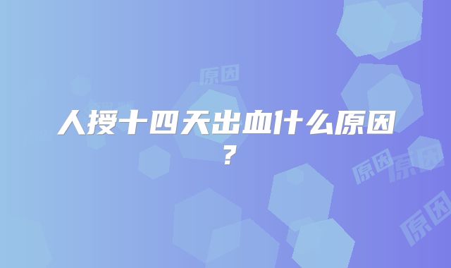 人授十四天出血什么原因？