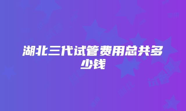 湖北三代试管费用总共多少钱