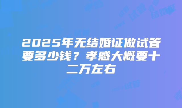 2025年无结婚证做试管要多少钱?孝感大概要十二万左右