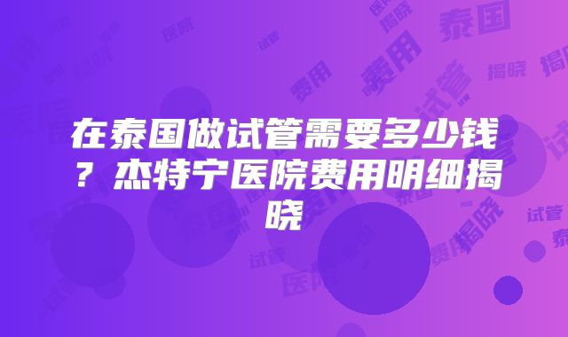 在泰国做试管需要多少钱？杰特宁医院费用明细揭晓