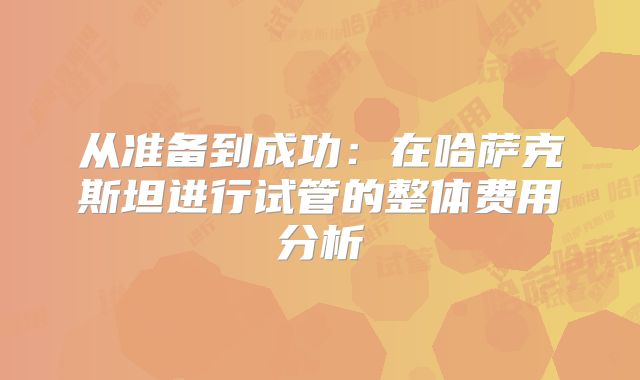 从准备到成功:在哈萨克斯坦进行试管的整体费用分析