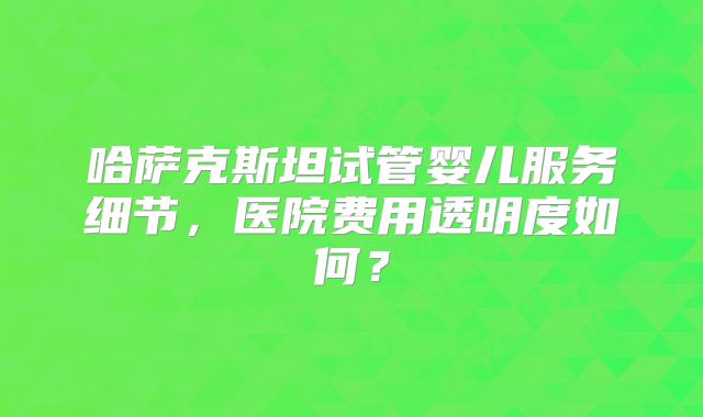 哈萨克斯坦试管婴儿服务细节，医院费用透明度如何？